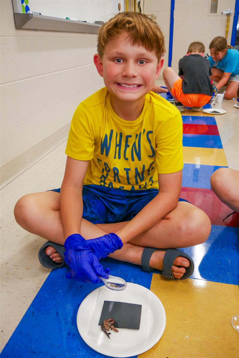 Students study earthworms in class